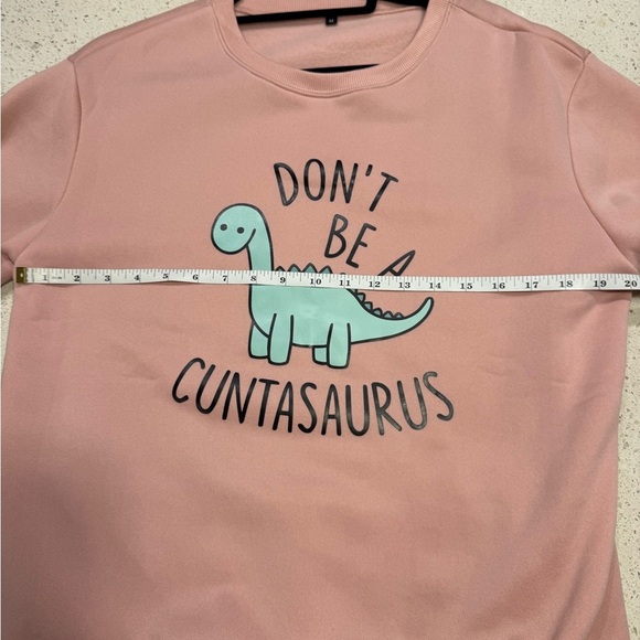 Women’s Medium Don’t Be A C*ntasaurus Pullover Sweater in pink NWOT - Picture 8 of 8